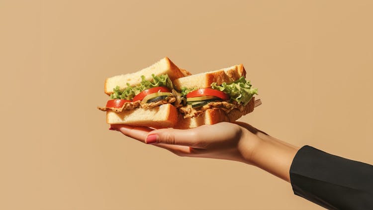 Uma mão segurando um sanduíche